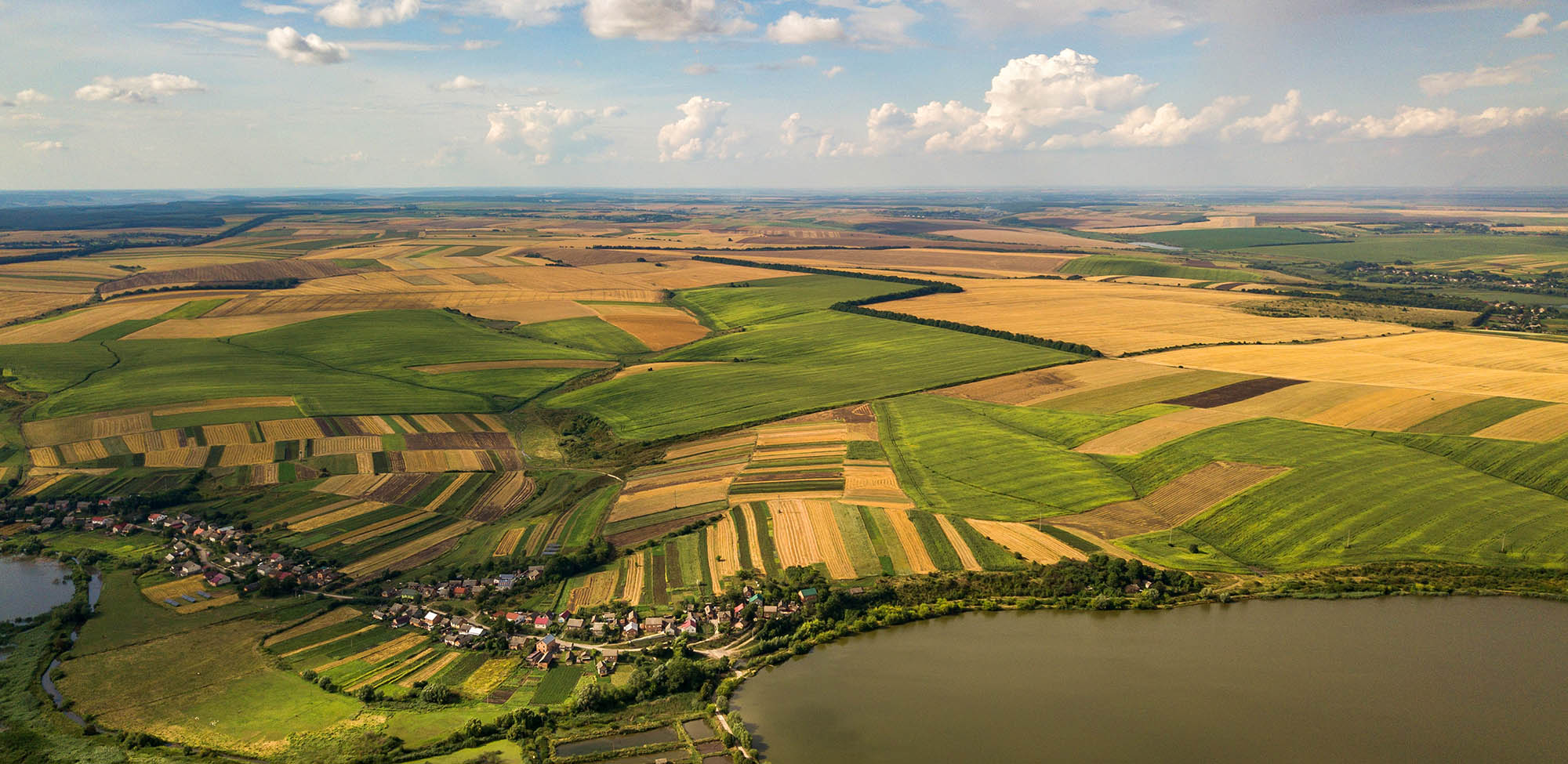 filiere-mycophyto-autres